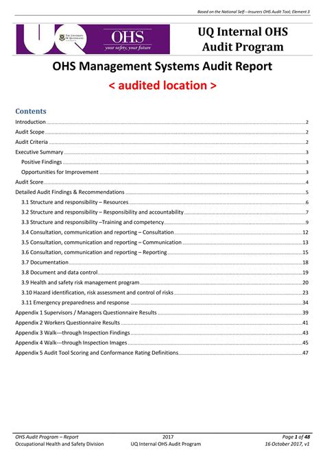 personal identity audit pdf|Audit Report .